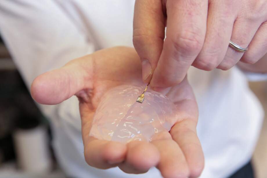 Modelo de silicona del cerebro de un primate y el implante cerebral. / Sinc / Alain Herzog / EPFL