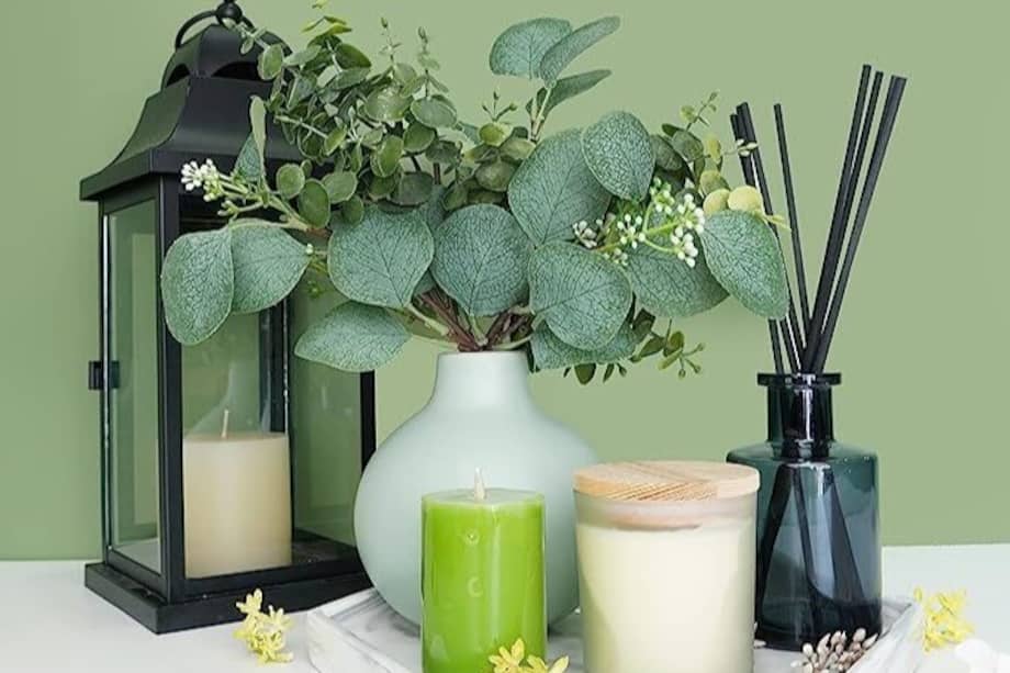 Descubre sus beneficios y todo lo que hay detrás de esta milenaria planta.