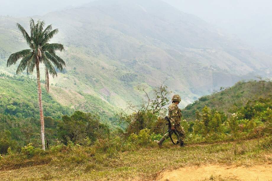 Argelia es un municipio del Cauca, a cuatro horas de su capital, Popayán. / AFP