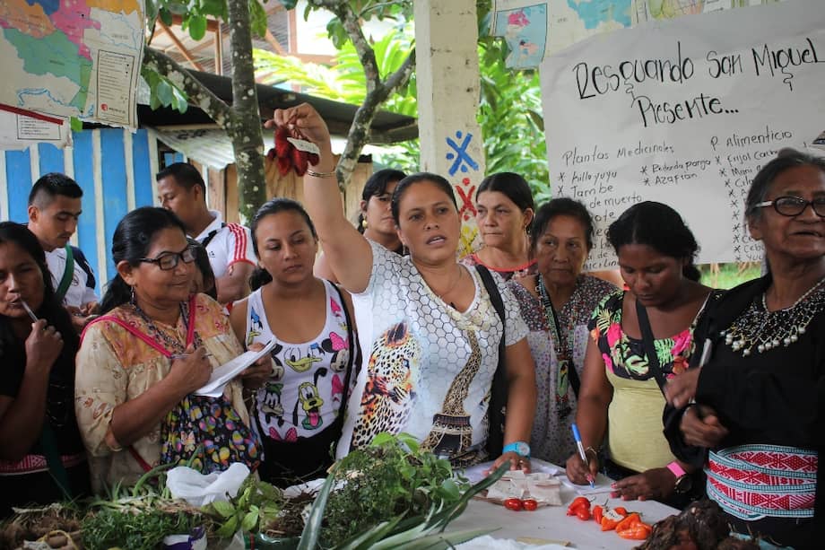 Cada comunidad organizó su stand para distribuir de manera uniforme las semillas. Los representantes expusieron las características y usos principales de ellas antes de proceder al intercambio.