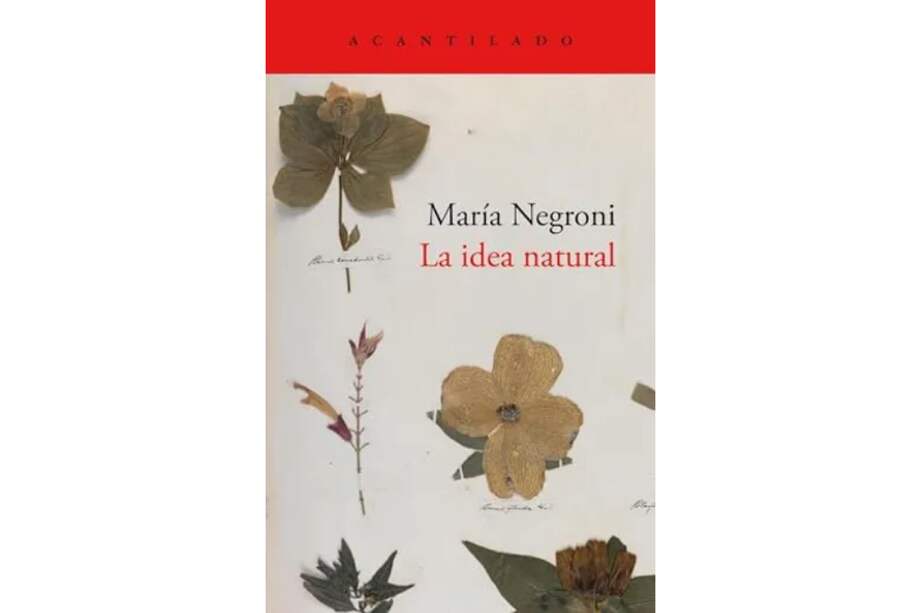 En "La idea natural", María Negroni rastreó las representaciones de la naturaleza a lo largo de la historia.