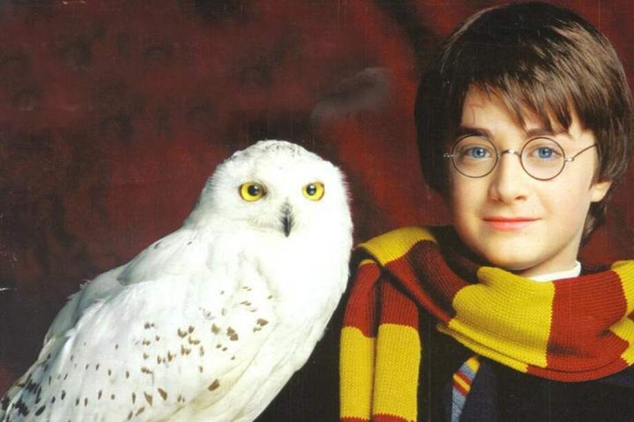 Imagen tomada de Pinterest.