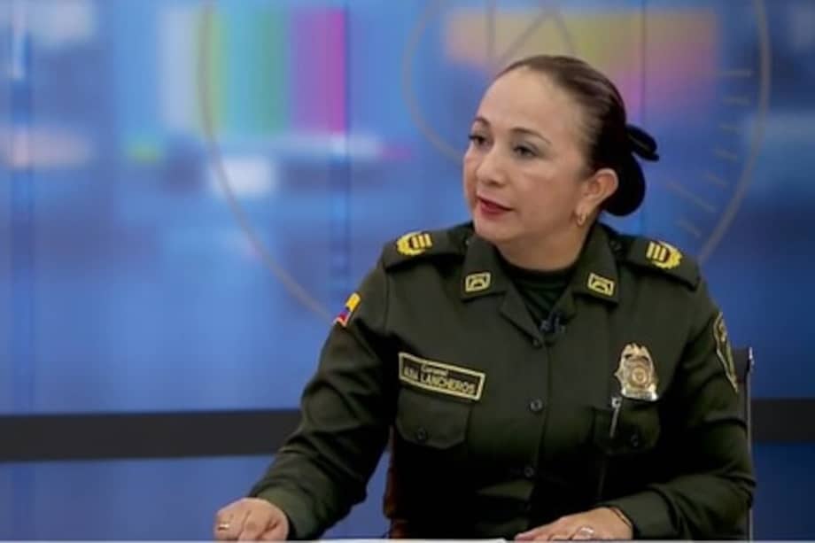 La coronel Alba Patricia Lancheros, jefe de la Unidad Policial para la Edificación de Paz (Unipep). / Archivo RedMás