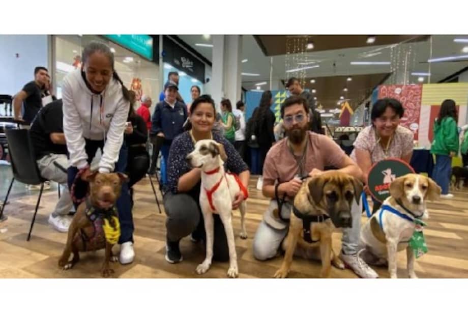 El sábado 20 de diciembre se realizará una nueva jornada en el centro comercial Andino, entre las 11:00 a. m. y las 4:00 p. m.