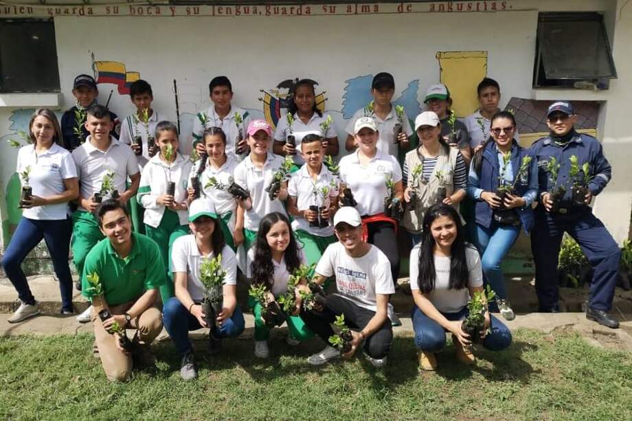 Desde 2012 se han reforestado cerca de 1.430 hectáreas en Boyacá, a las que se suman las de este nuevo proyecto, que hace parte del programa "Reto Siembra Bicentenario" organizado por la Gobernación. / Cortesía