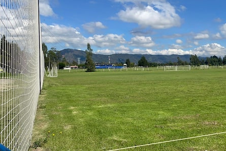Frenan construcción de canchas de fútbol en la reserva Thomas Van der Hammen