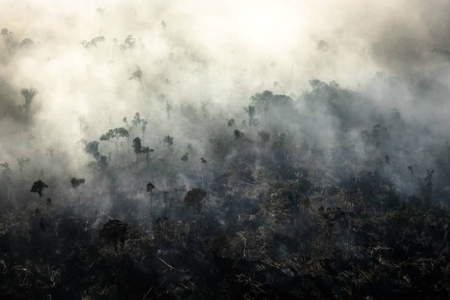El decálogo, que se le enviará a los candidatos, trata asuntos como la deforestación, la protección del agua, la descarbonización, los modelos de urbanización en las llamadas "Eco-Ciudades" y el tráfico de fauna.