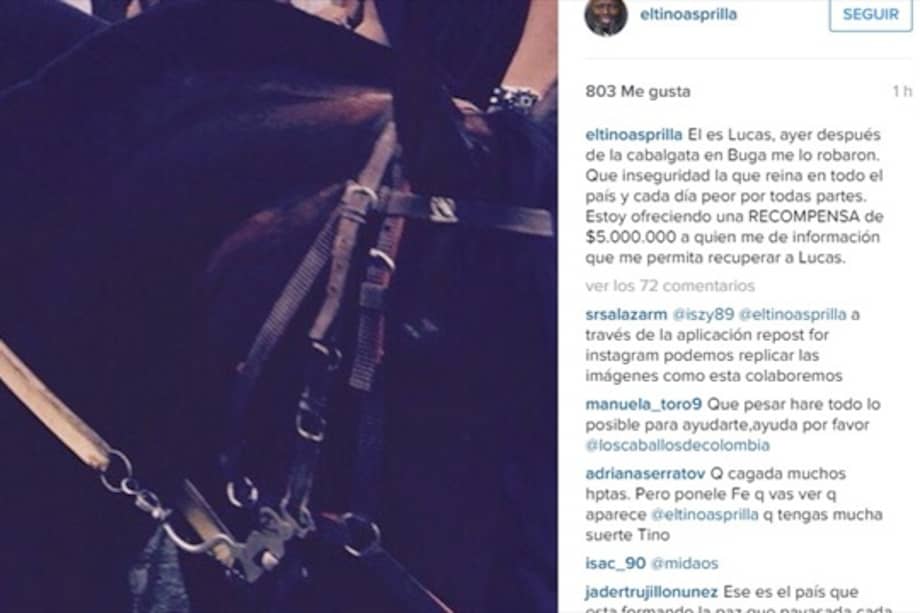 Esta fue la foto que publicó el exfutbolista en su cuenta ofreciendo una recompensa por su caballo Lucas. / Instagram