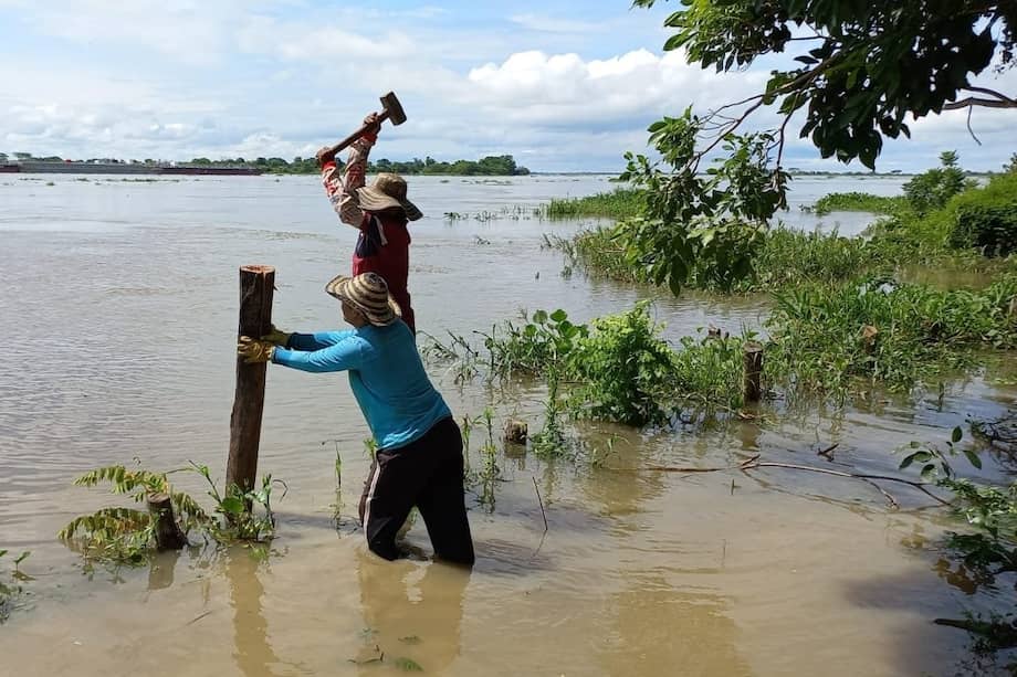 Con apoyo de la Alcaldía municipal, la comunidad contiene con un dique improvisado la creciente del río Magdalena.