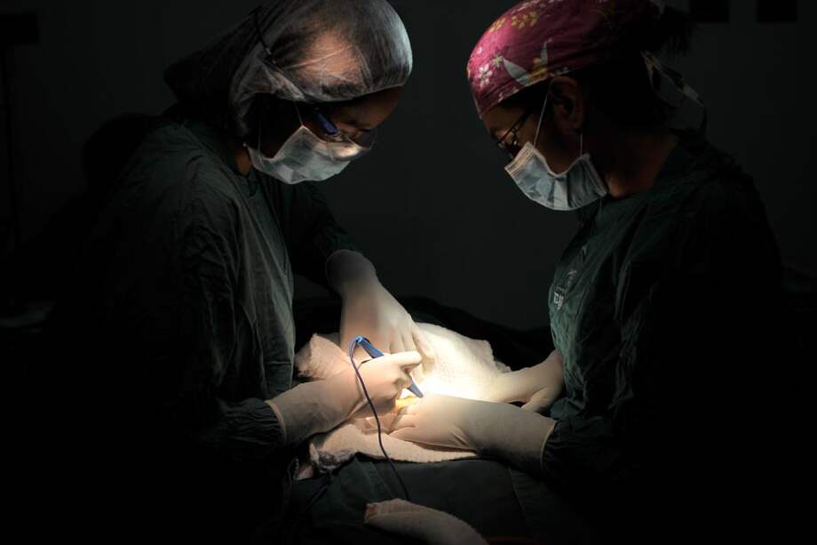 Según el senador Jorge Iván Ospina, mensualmente una persona muere en Colombia por complicaciones asociadas a una cirugía plástica. / Cristian Garavito