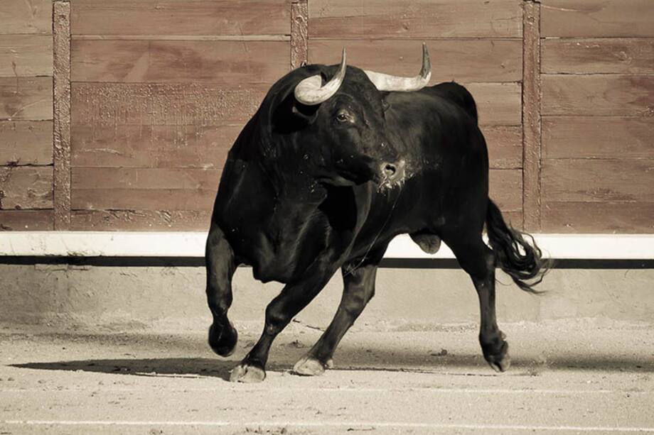 Tauro: No permitas que la duda y ansiedad bloquee tu energía laboral. ¡Sigue adelante!