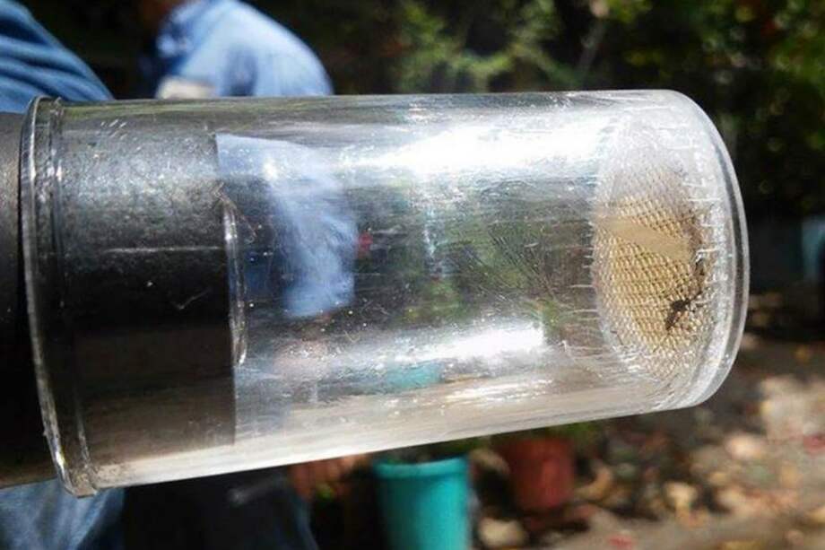 Archivo EFE / Archivo EFE