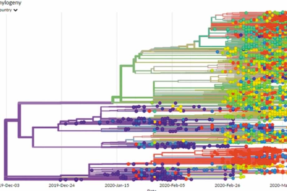 Representación de los 2.864 genomas de SARS-COV-2 secuenciados hasta la fecha.