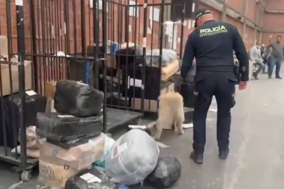 Policía incautó cargamento de Cocaína en la bodega de envíos.