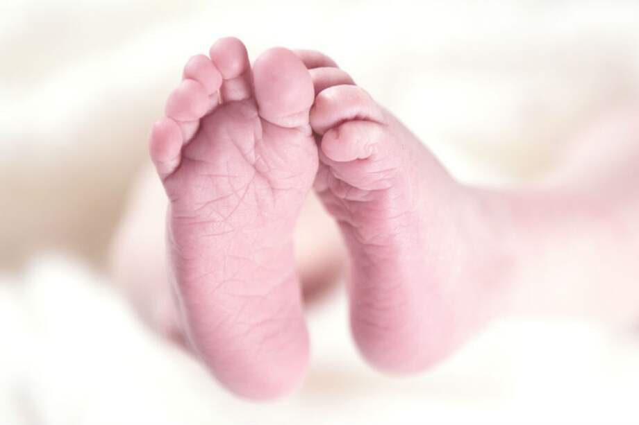 Referencia - Pixabay.