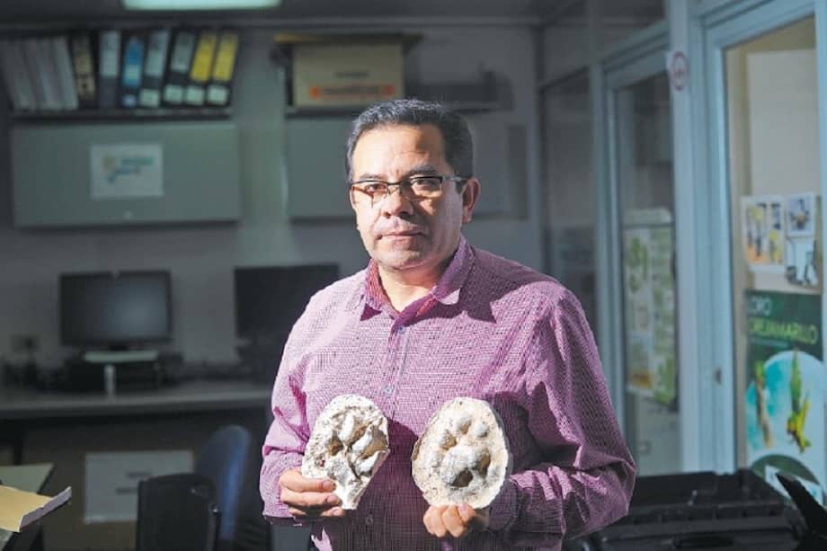 Germán Jiménez es biólogo de la Universidad de los Andes, con doctorado en Ciencias Biológicas de la Universidad Javeriana. / Fotos: Cristian Garavito