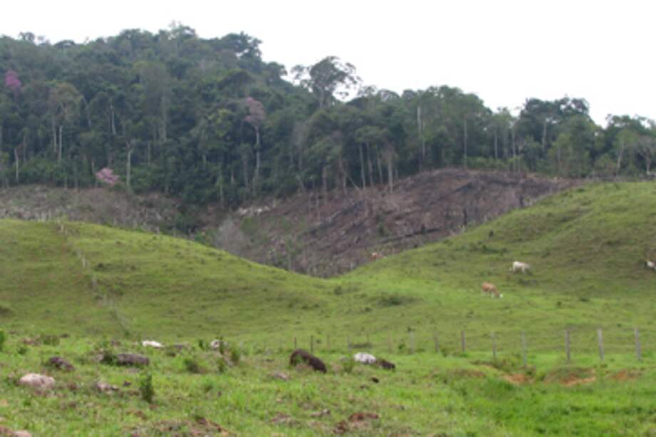 Advierten deficiencias del Incoder en compra y legalización de tierras