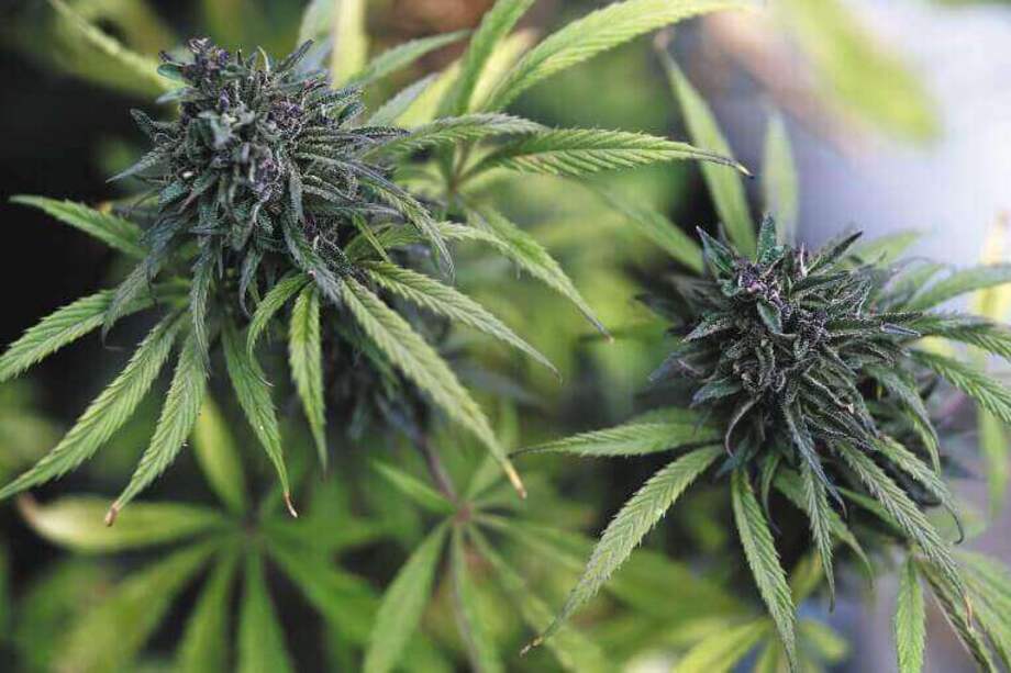 Óscar Pérez / El Espectador