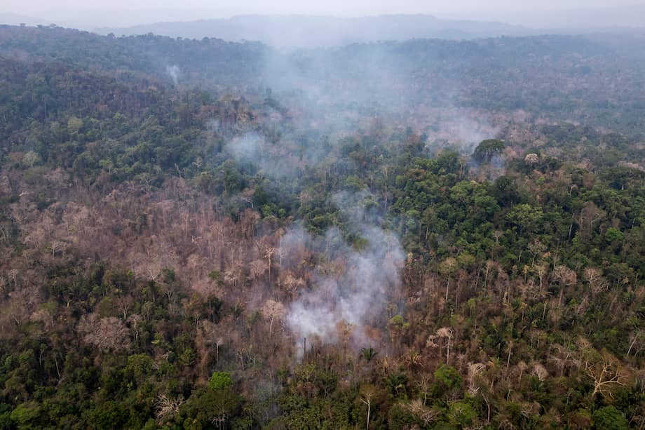Deforestación en el Parque Estatal Guajará-Mirím, en la Amazonia brasileña.