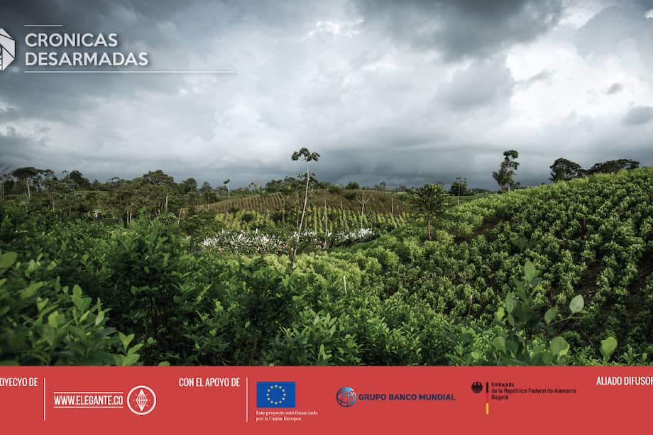 *Todos los derechos reservados de Crónicas Desarmadas y Elegante.