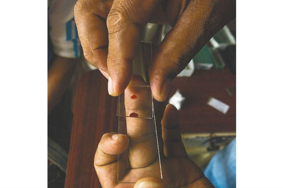 Los casos de malaria han aumentado 15 veces en cuatro años. / B. Ebus