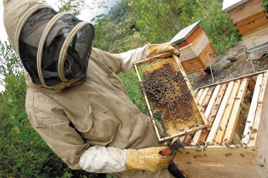 Archivo El Espectador / Archivo El Espectador