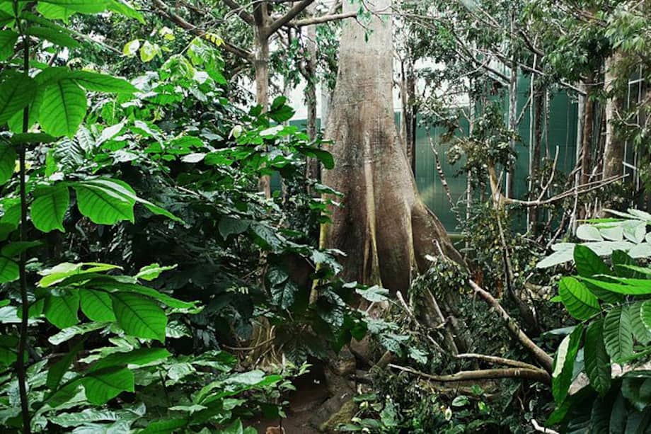 Están emitiendo alrededor de 425 teragramos de carbono anuales / Alberto-g-rovi