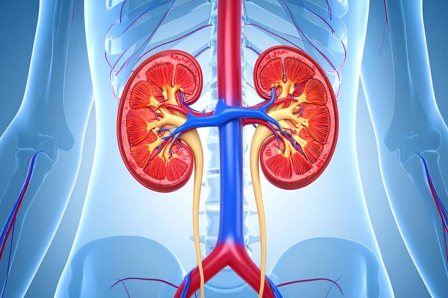 En niños con enfermedad renal, consultar con un nutricionista puede ser de gran ayuda para diseñar un plan de alimentación adecuado.