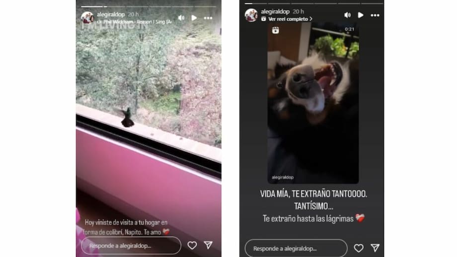 Alejandra Giraldo tuvo encuentro con su ‘hijo’ fallecido: “viniste a tu hogar”