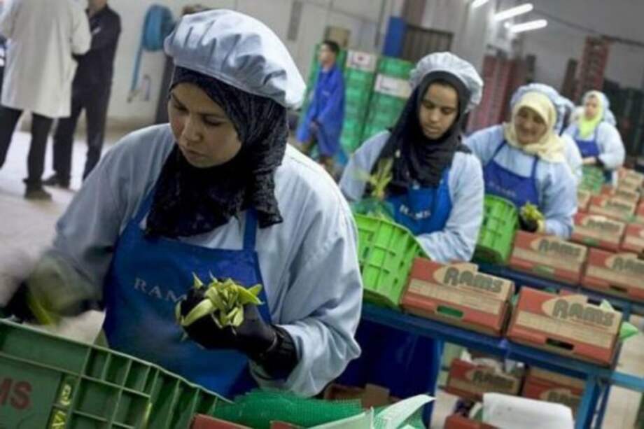 Las mujeres tienen muchos obstáculos por su género para ganar lo mismo que los hombres. / Foto: Archivo EFE
