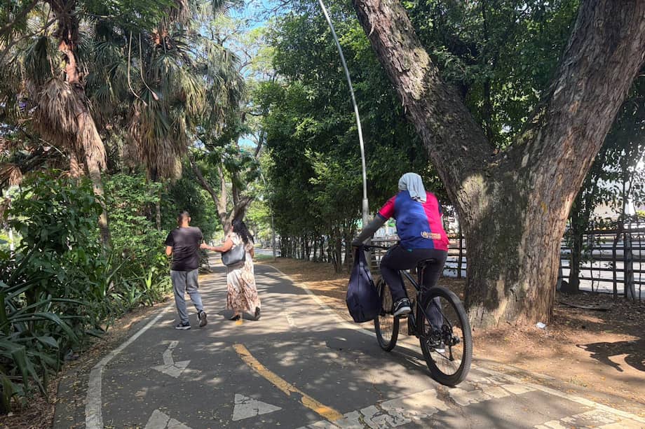 Aunque la ciudad cuenta con ciclorrutas, colectivos y ciclistas advierten problemas de invasión, deterioro y falta de infraestructura segura en varios corredores viales de Cali.