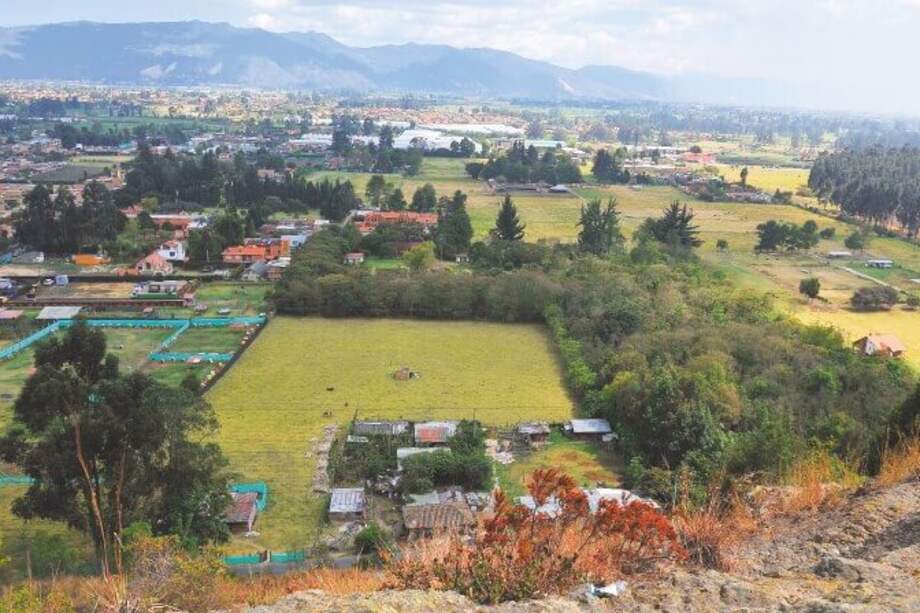 Gustavo Torrijos - El Espectador