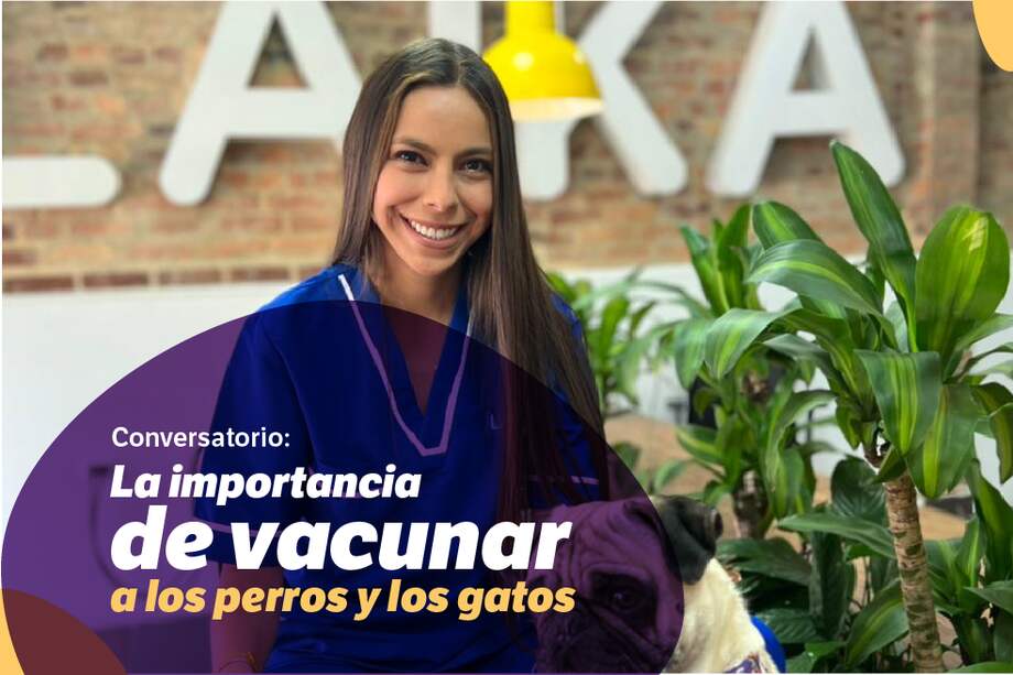 El evento, que se desarrolló bajo formato virtual, abordó la vacunación, como parte de la medicina preventiva, que influye en el crecimiento de las mascotas.