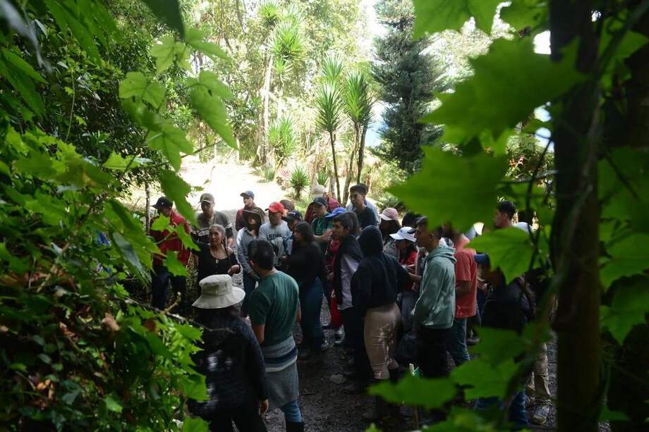 La entidad botánica hace proyectos mancomunados con el Instituto Tecnológico de Putumayo, la Universidad de Nariño y el Sena.