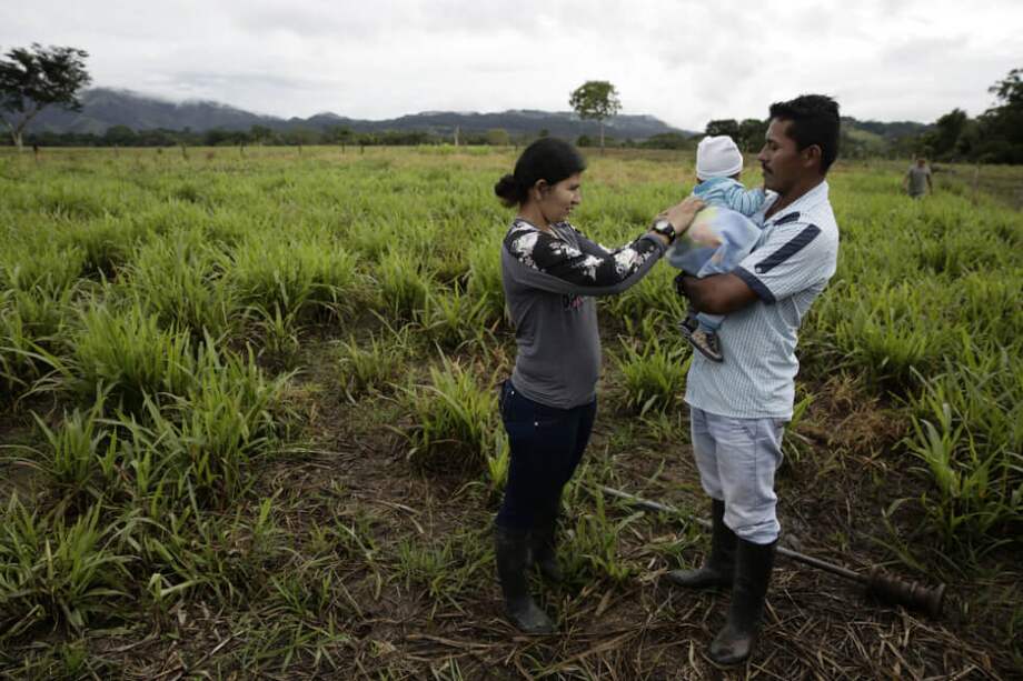 Los acuerdos para los proyectos se realizan junto con el Servicio Nacional de Aprendizaje (SENA). Además de este curso, se realizaron los de operación turística local, sistemas agroecológicos o de administración de empresas solidarias, todos con un enfoque de sostenibilidad ambiental. / EFE
