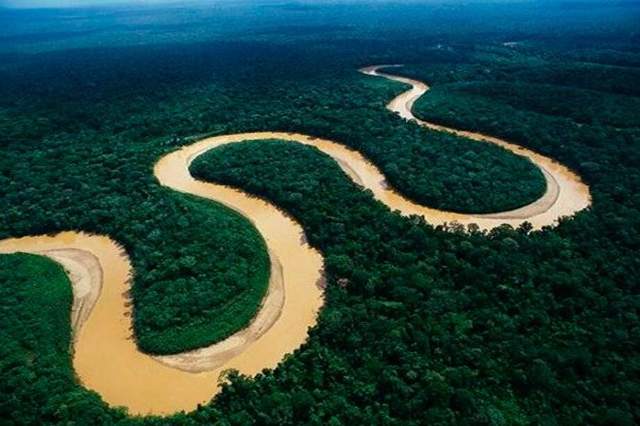 Gobierno busca vincular guerrilleros desmovilizados a conservación de la Amazonía