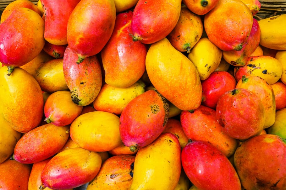 ¿Te gusta el mango? Acá te dejamos 5 beneficios que podría traer esta fruta al organismo si la consumes debidamente. ¿Los conocías?