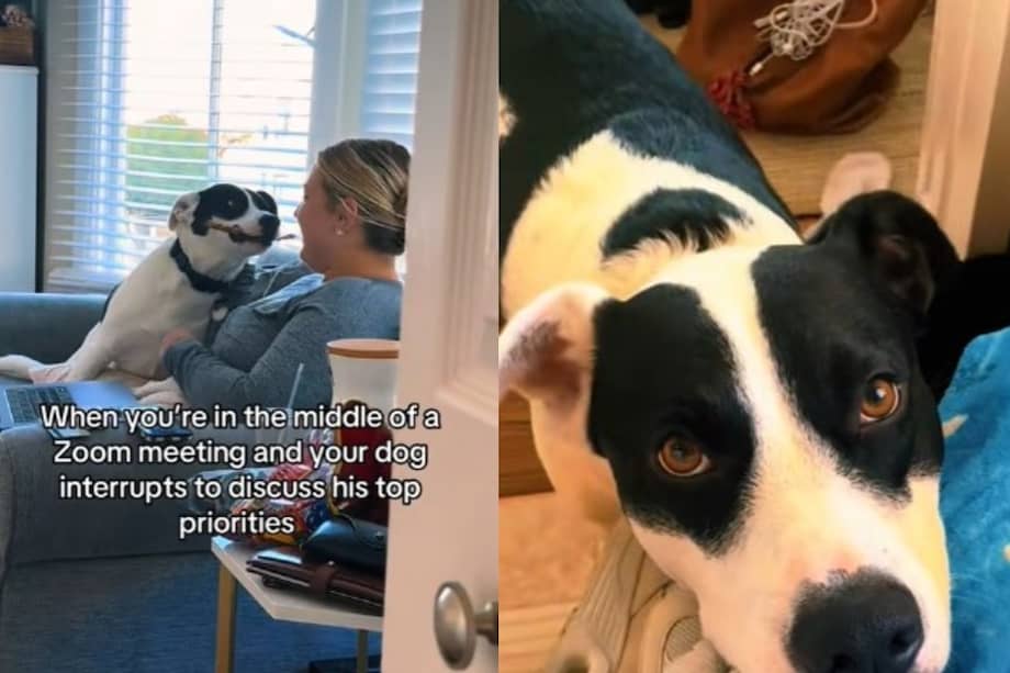 La espontaneidad de George y su carisma han conquistado el corazón de los internautas.