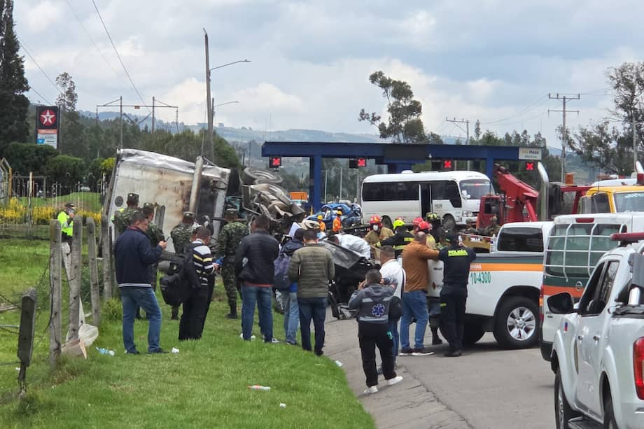 Perros y gatos también fueron rescatados, mientras que otros fallecieron.