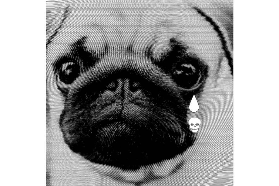 El viejo que me taladró la sensibilidad y la cordura fue Dante, un pug, uno de esos perritos de cabeza arrugada y chata, de ojos enormes y expresivos, que las señoras y los niños suelen adorar. El de mi historia tenía 14 años, tres de los cuales llevaba con la mitad del cuerpo paralizado.