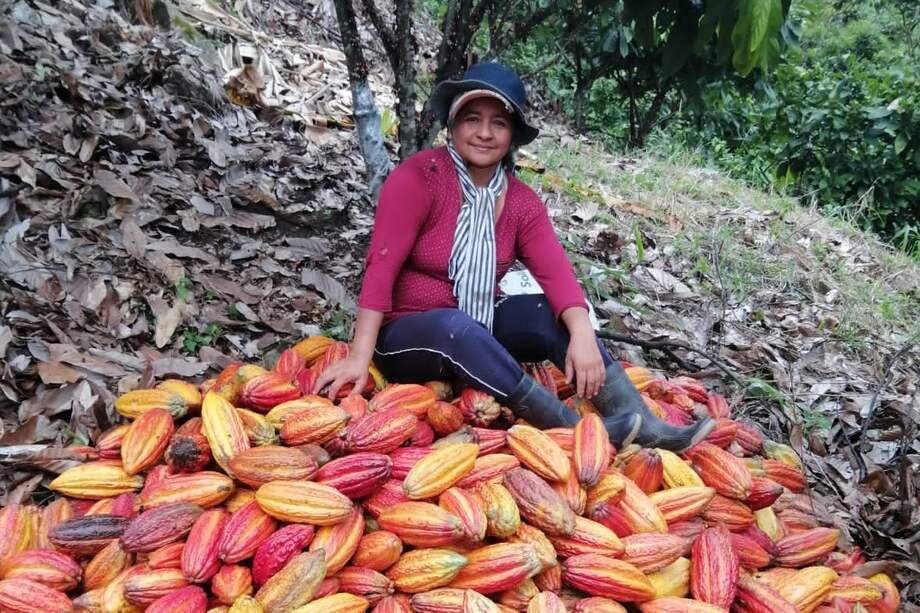 Caquetá, un departamento amazónico más allá de la violencia.