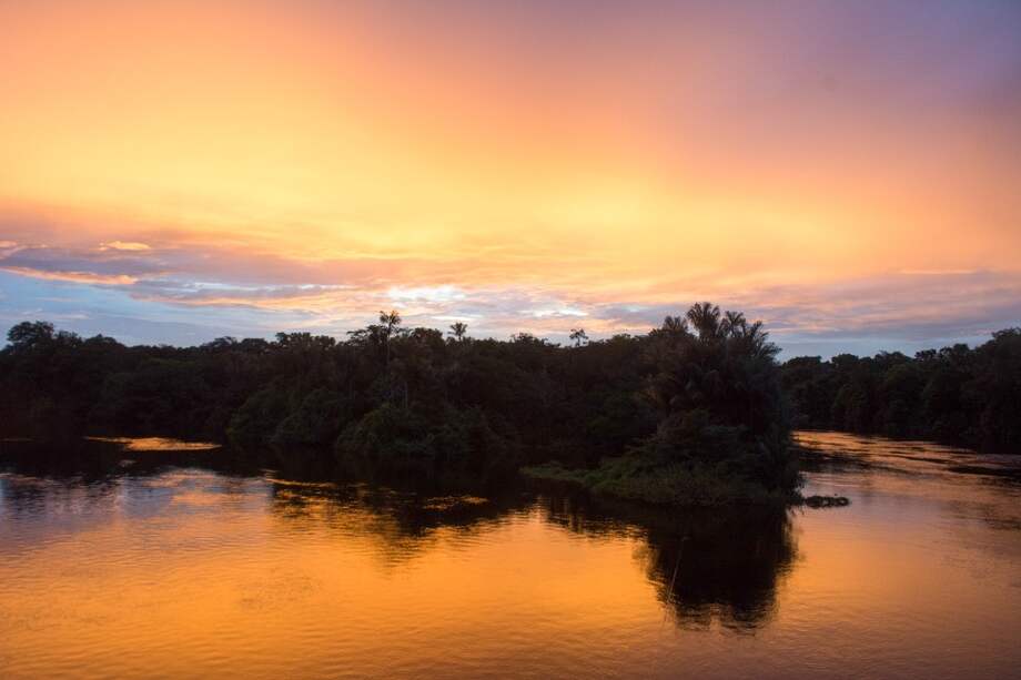 La cuenca del río Amazonas es conocida por ser la cuenca de agua dulce más grande del mundo.