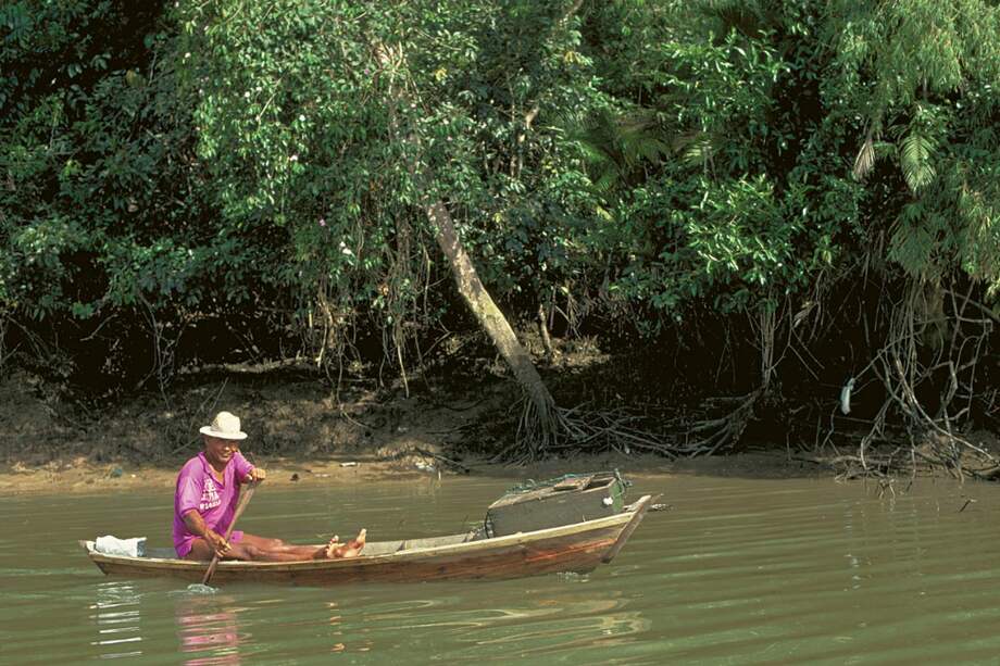Estos ecosistemas son importantes para los pescadores porque abundan especies de las que depende su economía / Michael Goulding