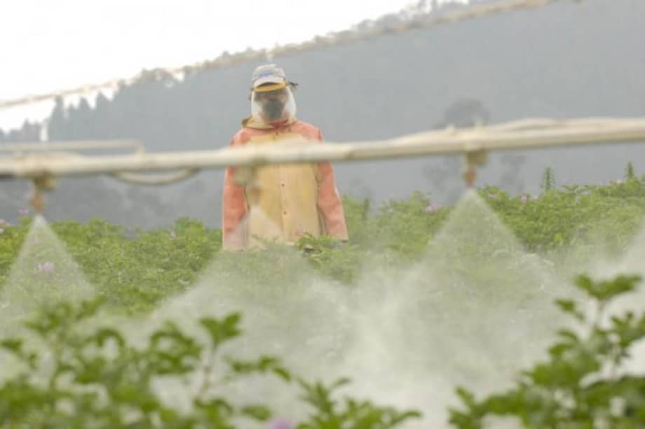 Foto: Archivo Particular