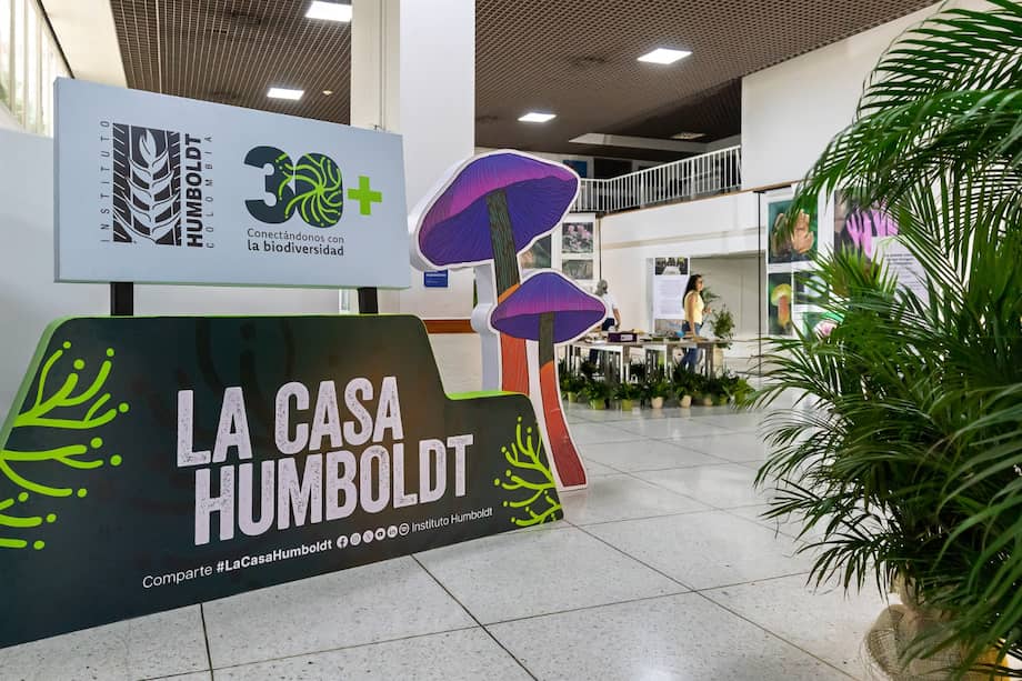 La iniciativa Casa Humboldt Inició en 2024 durante la COP16 como un espacio de encuentro entre la ciencia, la cultura y la ciudadanía.