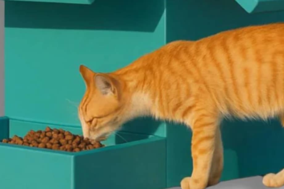 Las personas y empresas pueden contribuir a la iniciativa mediante donaciones directas o ayudando al mantenimiento y cuidado de las estaciones.