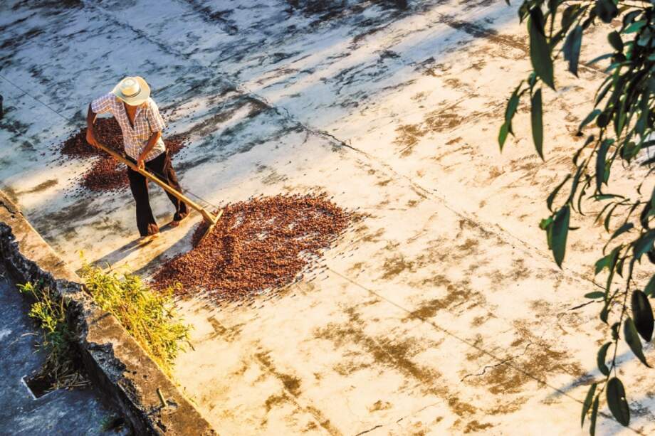 El cacao es mezclado con diversos productos agrícolas como panela, ñame, miel de abejas y banano, entre otros. / iStock
