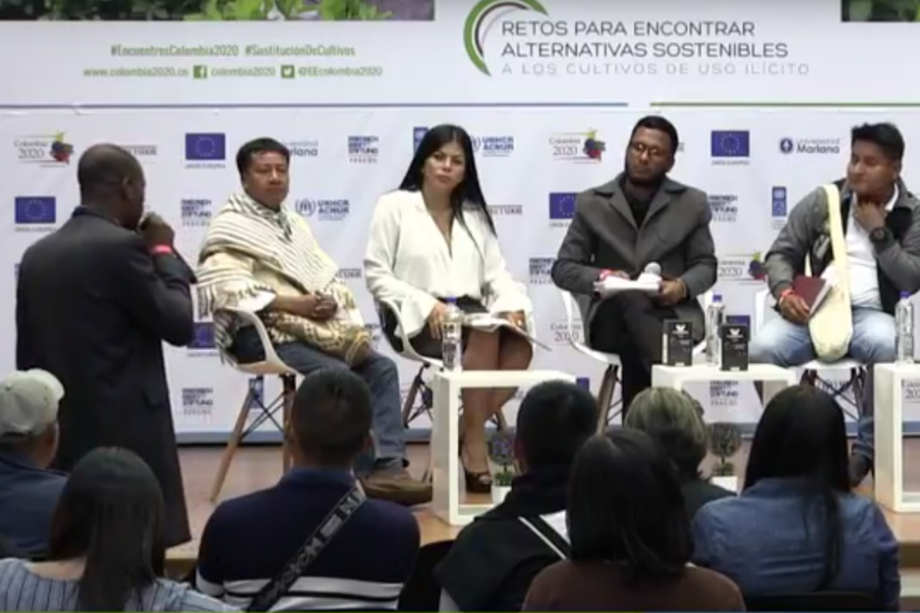 Razones al Ministro de Defensa para no fumigar con glifosato cultivos de uso ilícito