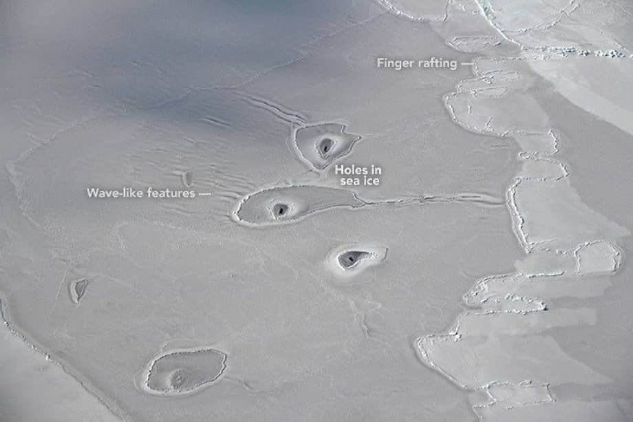 Nasa Earth Observatory.