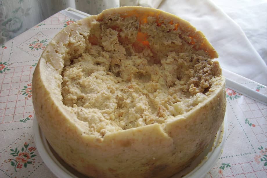 Queso típico de la isla italiana de Cerdeña, conocido por estar infectado de larvas vivas de moscas.